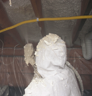 Arlington VA crawl space insulation